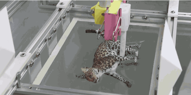 New Coloring Technique Creates Perfect Spots on 3D-Printed Cat