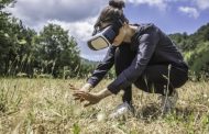 Virtual Reality Boosts Students’ Empathy for the Environment